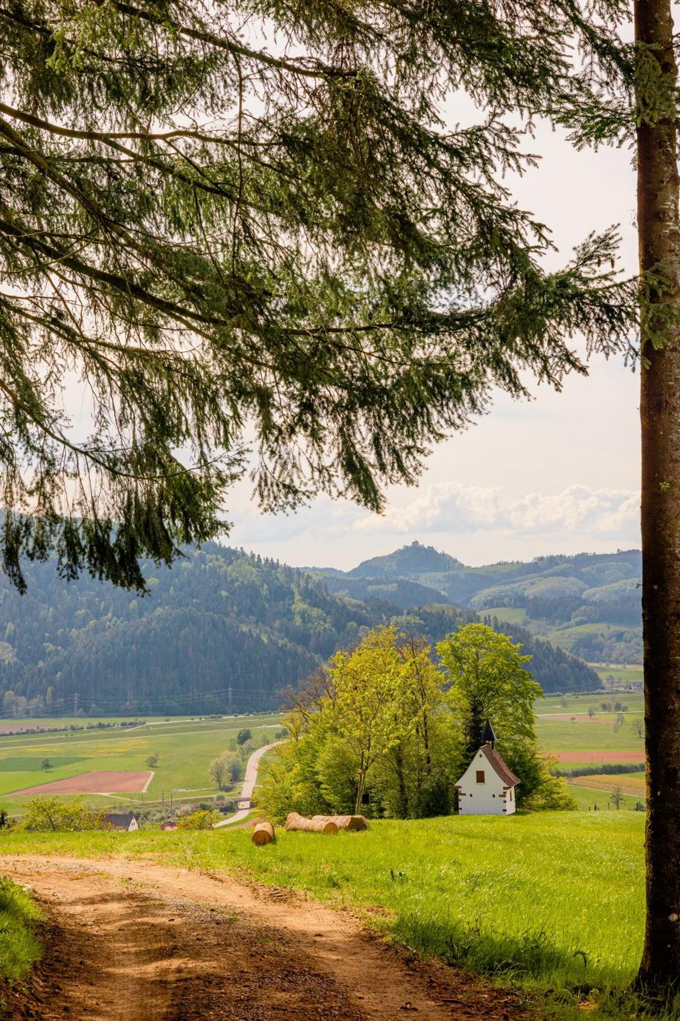 Landhotel Gasthaus Zum Pflug Zell am Harmersbach Εξωτερικό φωτογραφία